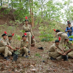 Tree Plantatation  in  College  Premises