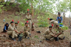 Tree Plantatation  in  College  Premises