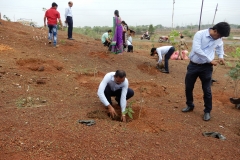 Tree  Plantation  by Staff