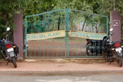 Botanical Garden