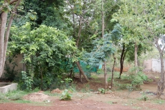 Botanical Garden