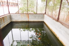 Fish Breeding Center